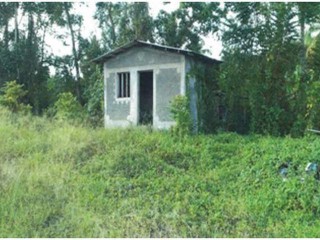 Windsor and Seamans Valley, Portland, Jamaica - Commercial/farm land for Sale